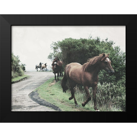 Horses Down The Street Black Modern Wood Framed Art Print by Villa, Milli