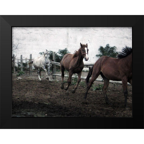 Horses Down The Dirt Road Black Modern Wood Framed Art Print by Villa, Milli