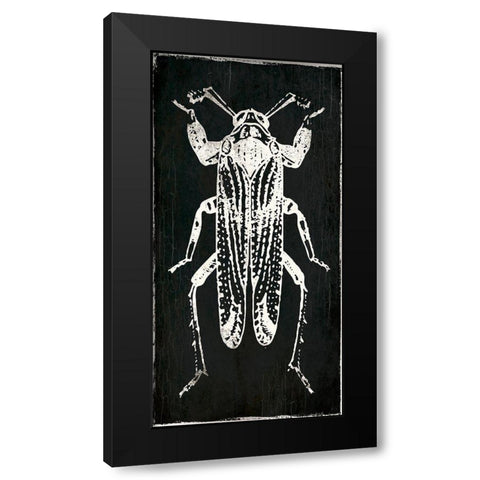 Bug Life Four Black Black Modern Wood Framed Art Print with Double Matting by Villa, Mlli