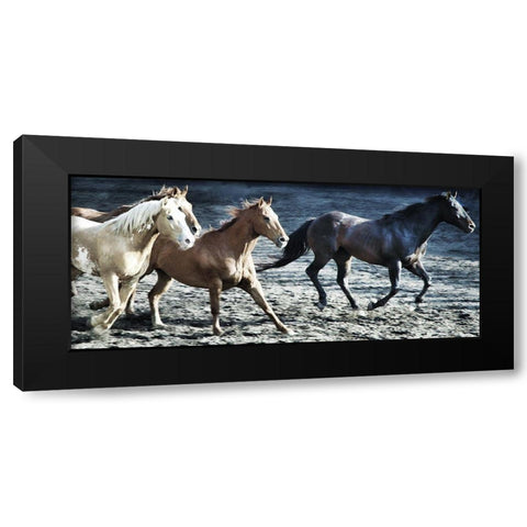 Lets Go Horses Black Modern Wood Framed Art Print by Villa, Milli