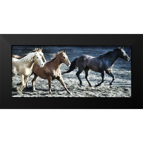 Lets Go Horses Black Modern Wood Framed Art Print by Villa, Milli