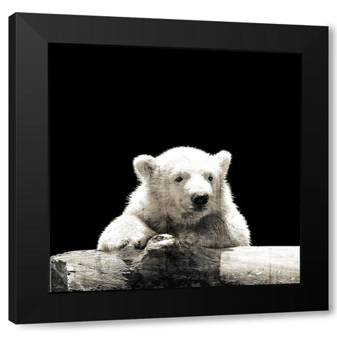 Polar Looks Black Modern Wood Framed Art Print with Double Matting by Villa, Mlli