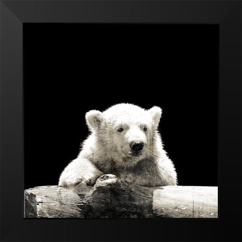 Polar Looks Black Modern Wood Framed Art Print by Villa, Mlli
