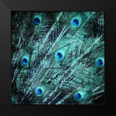 Peacock Spread Black Modern Wood Framed Art Print by Villa, Mlli