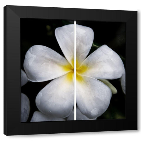 Smile Black Modern Wood Framed Art Print with Double Matting by Villa, Mlli