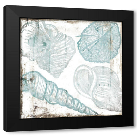 Sketched Shells Black Modern Wood Framed Art Print by Villa, Mlli