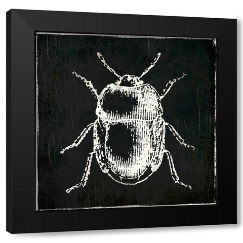 Bug Life Black Black Modern Wood Framed Art Print with Double Matting by Villa, Mlli