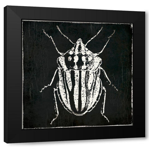 Bug Life Three Black Black Modern Wood Framed Art Print with Double Matting by Villa, Mlli