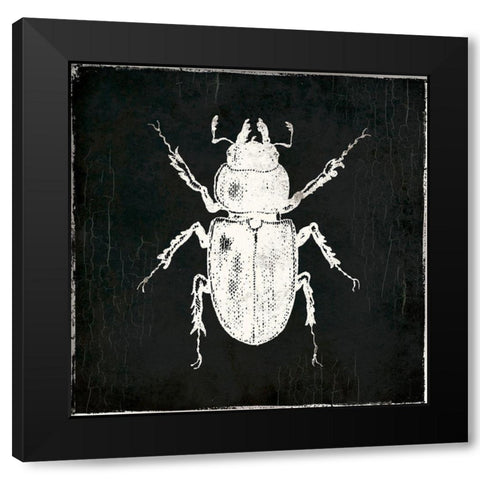 Bug Life Four Black Black Modern Wood Framed Art Print with Double Matting by Villa, Mlli