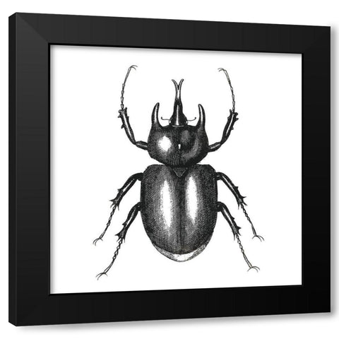 Bug Life Two Black Modern Wood Framed Art Print with Double Matting by Villa, Mlli