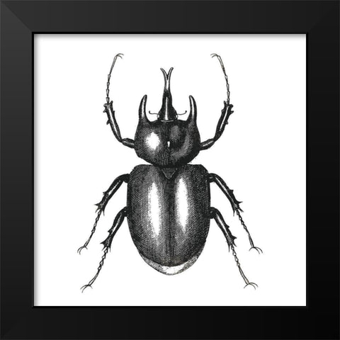 Bug Life Two Black Modern Wood Framed Art Print by Villa, Mlli