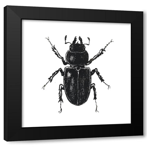 Bug Life Four Black Modern Wood Framed Art Print with Double Matting by Villa, Mlli