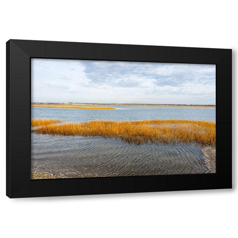 Winter Marsh Black Modern Wood Framed Art Print with Double Matting by Orlando