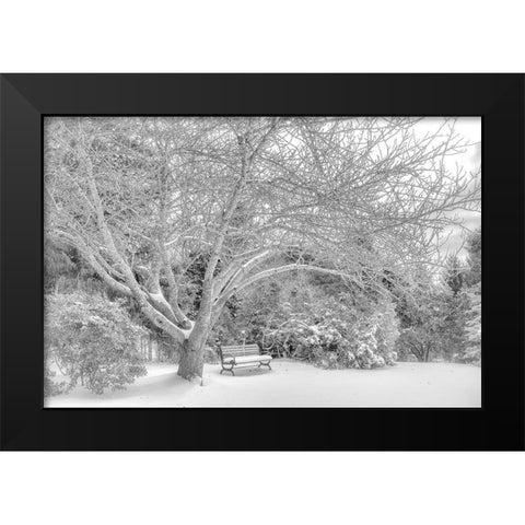 Aboretum December 2 Black Modern Wood Framed Art Print by DeLuca, Pat