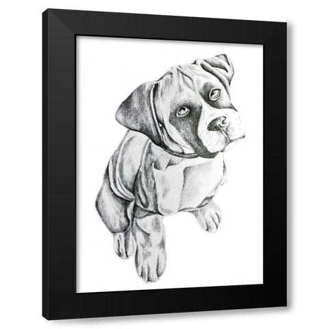 Boxerinpencil Black Modern Wood Framed Art Print with Double Matting by Varacek, Pam