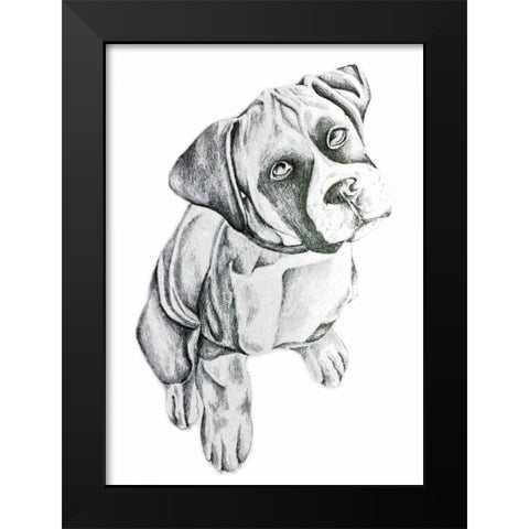Boxerinpencil Black Modern Wood Framed Art Print by Varacek, Pam
