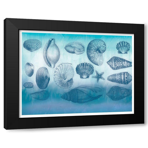 Watercolor Coast Shells Black Modern Wood Framed Art Print by Allen, Candace