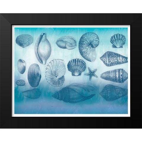 Watercolor Coast Shells Black Modern Wood Framed Art Print by Allen, Candace