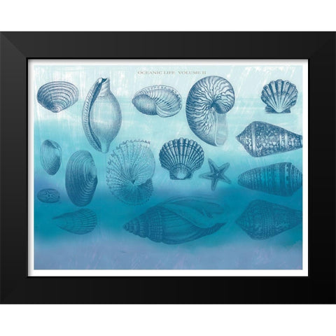 Watercolor Coast Shells 2 Black Modern Wood Framed Art Print by Allen, Candace