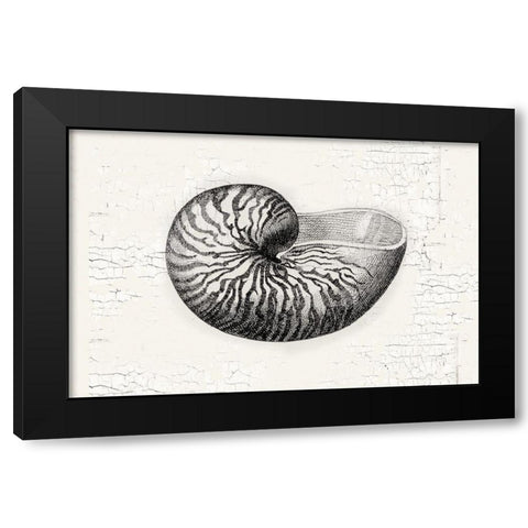 Shell Black Modern Wood Framed Art Print with Double Matting by Lula Bijoux and Company
