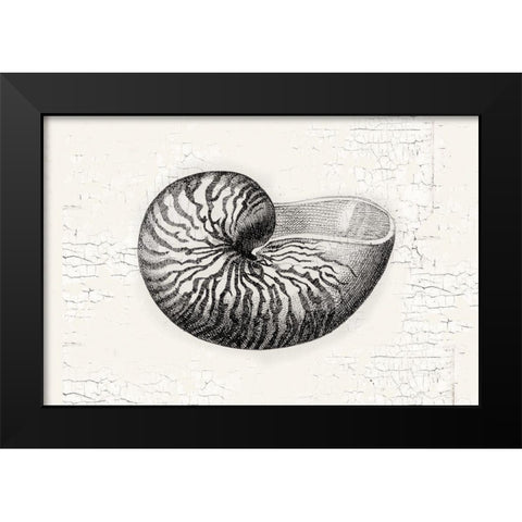 Shell Black Modern Wood Framed Art Print by Lula Bijoux and Company