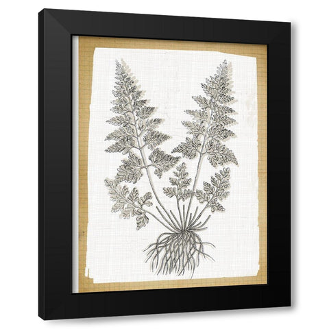 Farmhouse Ferns 1 Black Modern Wood Framed Art Print with Double Matting by Lula Bijoux and Company