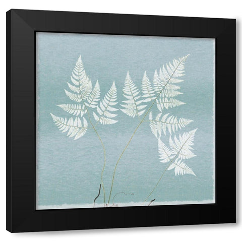 Spring Eden Floral 1 Black Modern Wood Framed Art Print with Double Matting by Lula Bijoux And Company