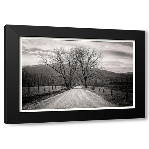 Less Traveled Black Modern Wood Framed Art Print with Double Matting by Taylor, Glenn