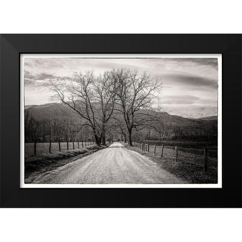 Less Traveled Black Modern Wood Framed Art Print by Taylor, Glenn