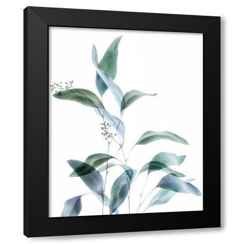 Gentle Botanical 1 Black Modern Wood Framed Art Print with Double Matting by Poinski, Dianne