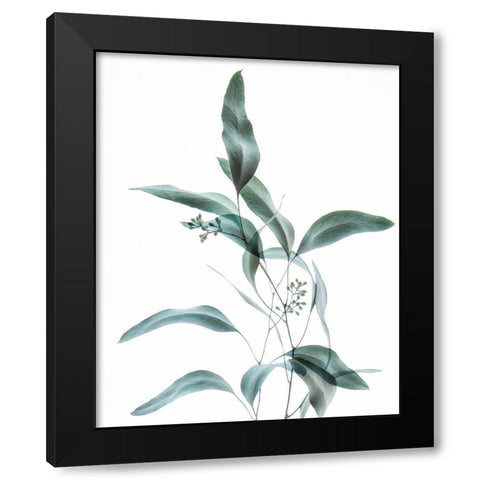 Gentle Botanical 2 Black Modern Wood Framed Art Print by Poinski, Dianne