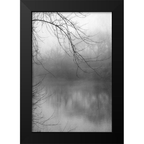 Misty Pond 1 BW Black Modern Wood Framed Art Print by Poinski, Dianne