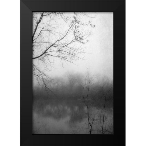 Misty Pond 2 BW Black Modern Wood Framed Art Print by Poinski, Dianne