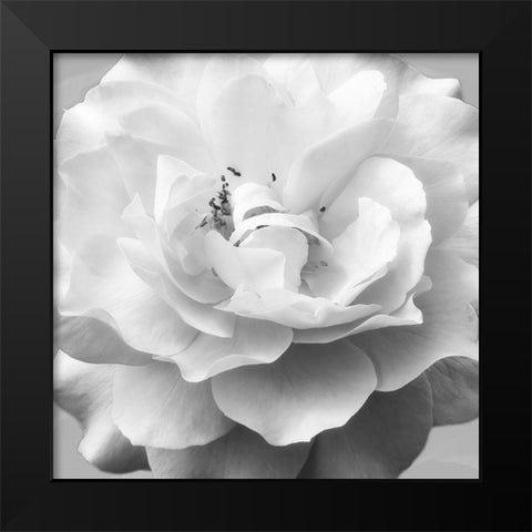 Beautiful Dreams 1 Black Modern Wood Framed Art Print by Poinski, Dianne