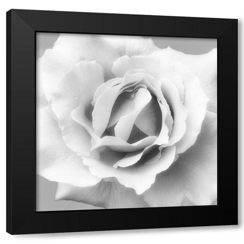 Beautiful Dreams 2 Black Modern Wood Framed Art Print with Double Matting by Poinski, Dianne