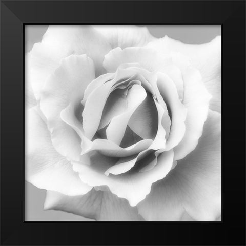 Beautiful Dreams 2 Black Modern Wood Framed Art Print by Poinski, Dianne