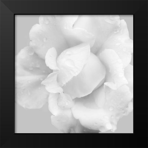 Beautiful Dreams 3 Black Modern Wood Framed Art Print by Poinski, Dianne