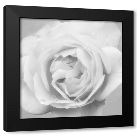 Beautiful Dreams 4 Black Modern Wood Framed Art Print by Poinski, Dianne