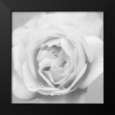Beautiful Dreams 4 Black Modern Wood Framed Art Print by Poinski, Dianne
