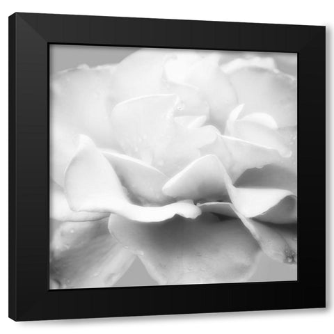 Beautiful Dreams 5 Black Modern Wood Framed Art Print by Poinski, Dianne