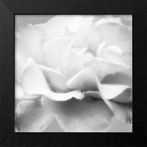 Beautiful Dreams 5 Black Modern Wood Framed Art Print by Poinski, Dianne