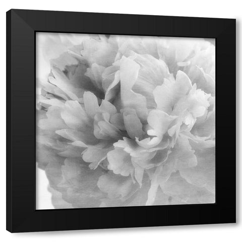 Blooming Intellect 1 Black Modern Wood Framed Art Print with Double Matting by Poinski, Dianne