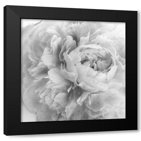 Blooming Intellect 2 Black Modern Wood Framed Art Print by Poinski, Dianne