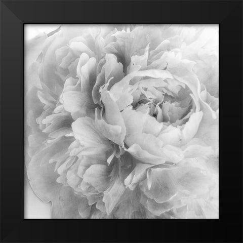 Blooming Intellect 2 Black Modern Wood Framed Art Print by Poinski, Dianne