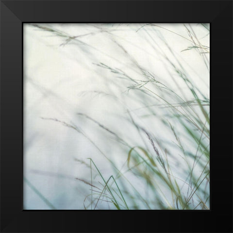 Bluff Grass I Black Modern Wood Framed Art Print by Poinski, Dianne
