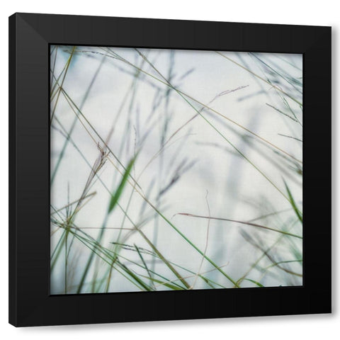 Bluff Grass II Black Modern Wood Framed Art Print with Double Matting by Poinski, Dianne