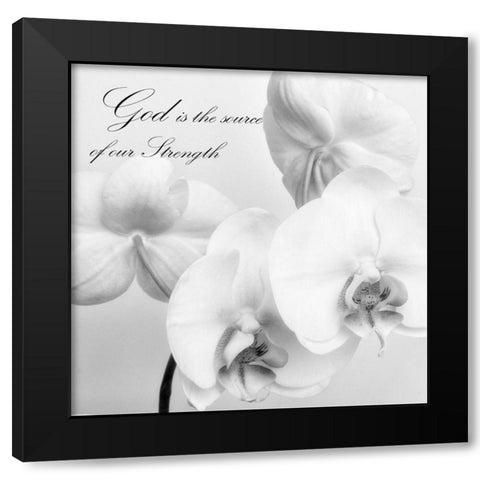 God Orchids Black Modern Wood Framed Art Print with Double Matting by Poinski, Dianne