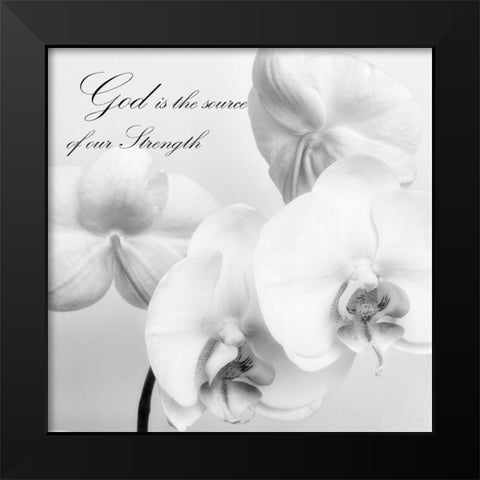 God Orchids Black Modern Wood Framed Art Print by Poinski, Dianne