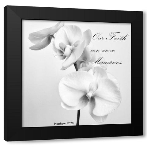 Mountain Orchids Black Modern Wood Framed Art Print by Poinski, Dianne