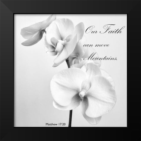 Mountain Orchids Black Modern Wood Framed Art Print by Poinski, Dianne